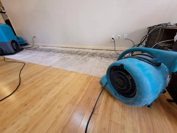 Professional Flood Damage Cleanup technician working in Mascot, TN